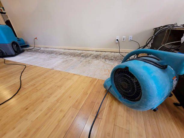 Professional Sewage Cleanup technician working in Brooksville, ME